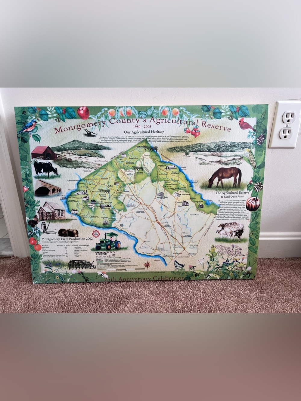 Montgomery County Agricultural Reserve Decorative Map Wall Art - Green